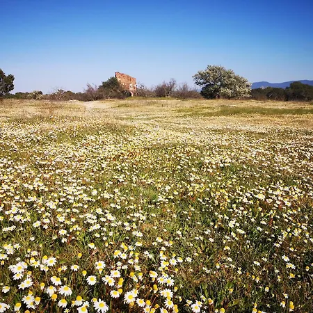 Bed & Breakfast Cabanon